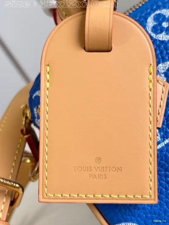LOUIS SPEEDY VUITTON 18 0420